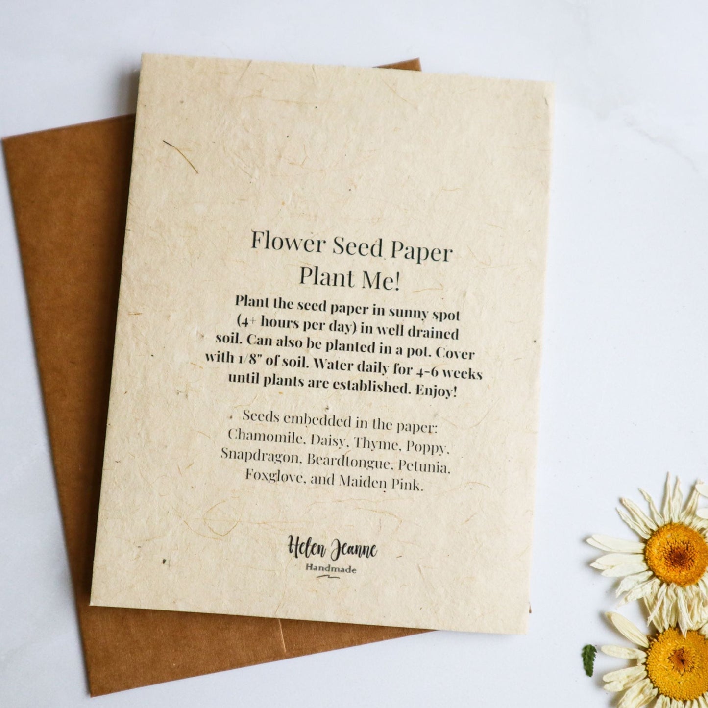 Instructions how to plant flower seed paper card by Helen Jeanne Handmade.