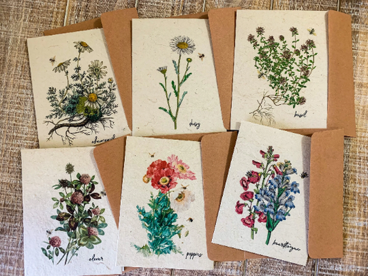 set of six flower seed paper cards with six flowers
