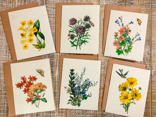 set of six floral flower seed paper cards