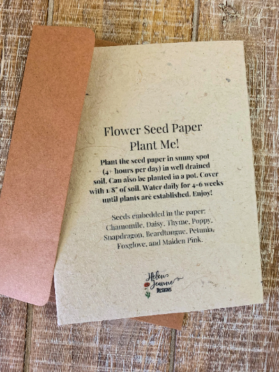 Plantable Flower Seed Paper Cards Enjoy Today greeting, Gardening, Gift,  Congratulations, Friends, Family, Eco-friendly, Biodegradable 