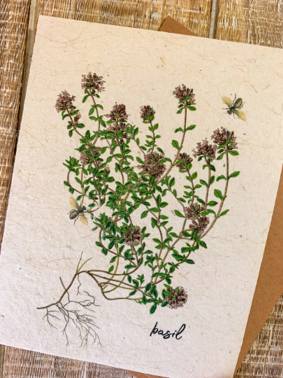 basil flower seed card