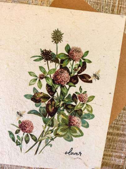 clover and bee flower seed paper card