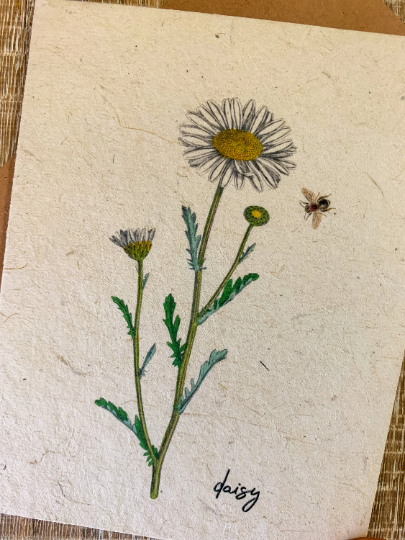 daisy and bee card