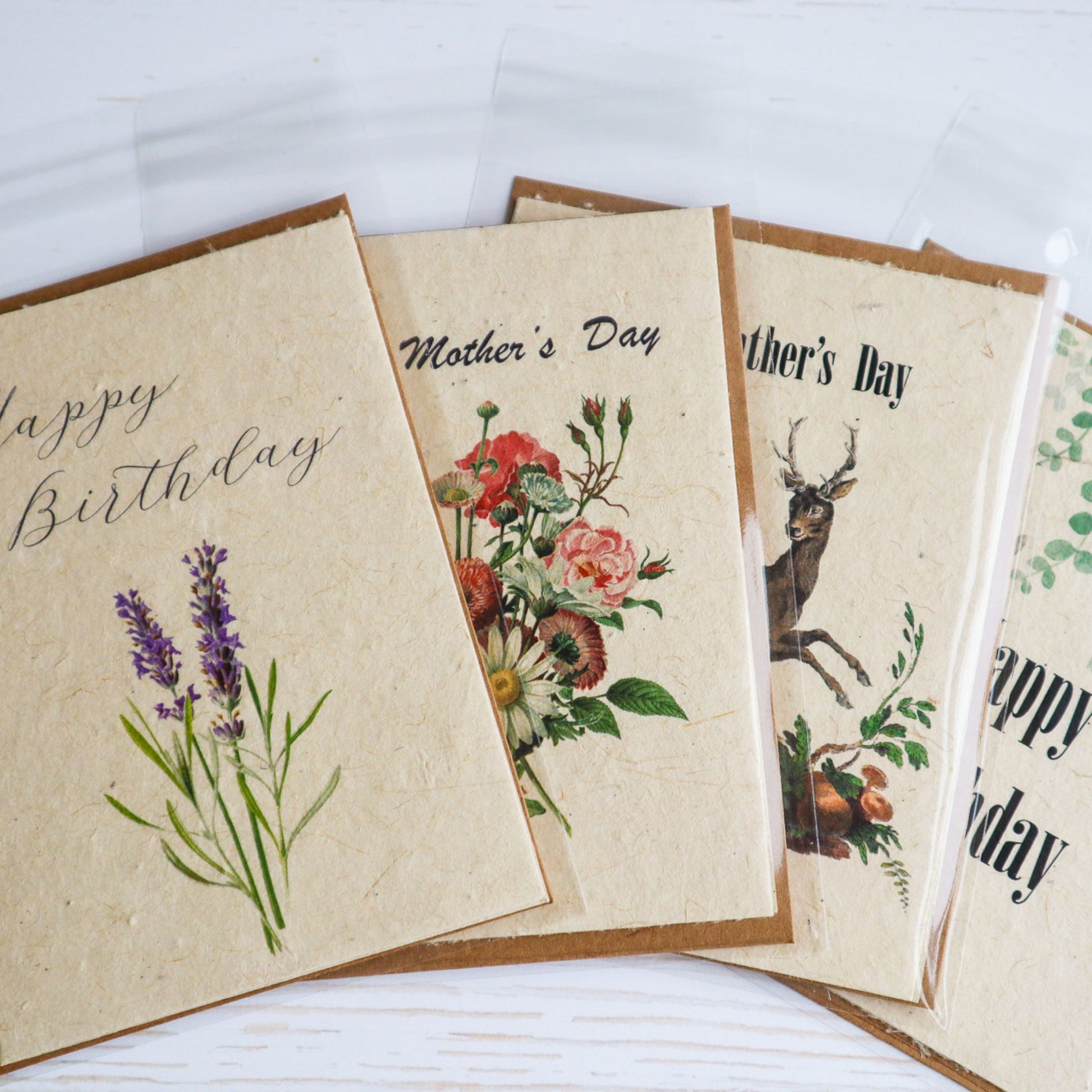 Plantable Flower Seed Paper Greeting Cards, Eco Friendly Cards, Wildfl –  Helen Jeanne