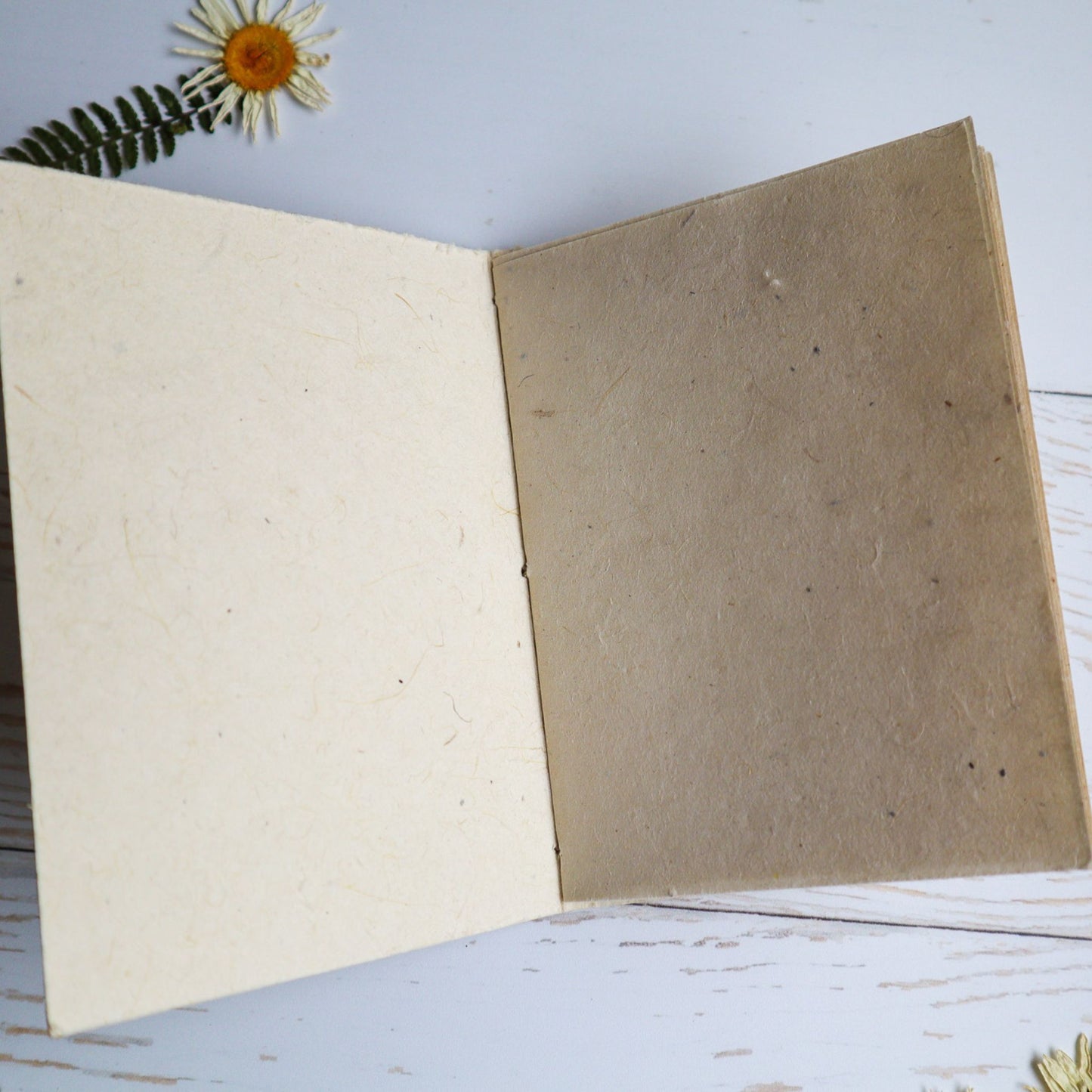 Inside pages of flower seed paper journal by Helen Jeanne Handmade.