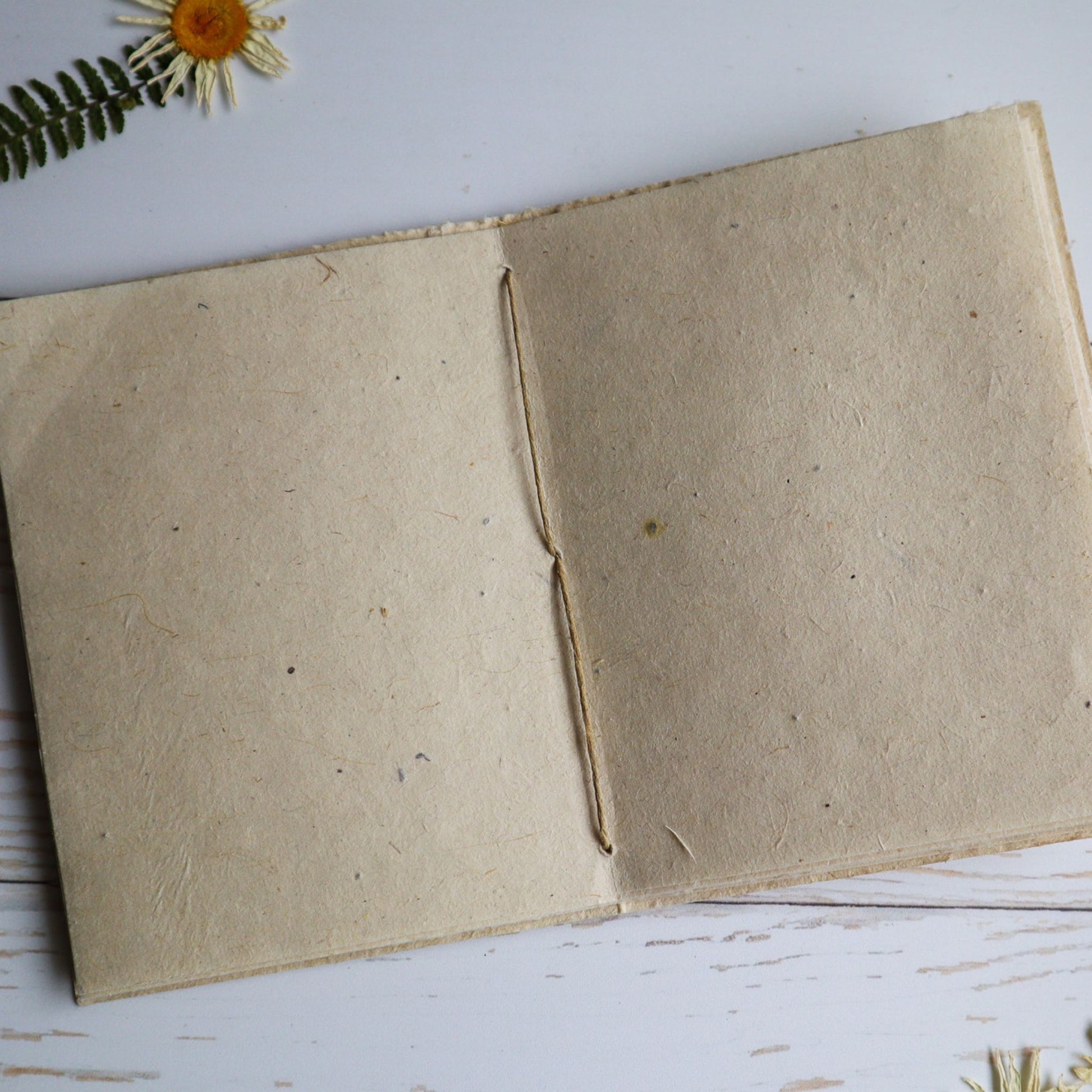 8.5 x 11 Eco Natural Plantable Seed Paper