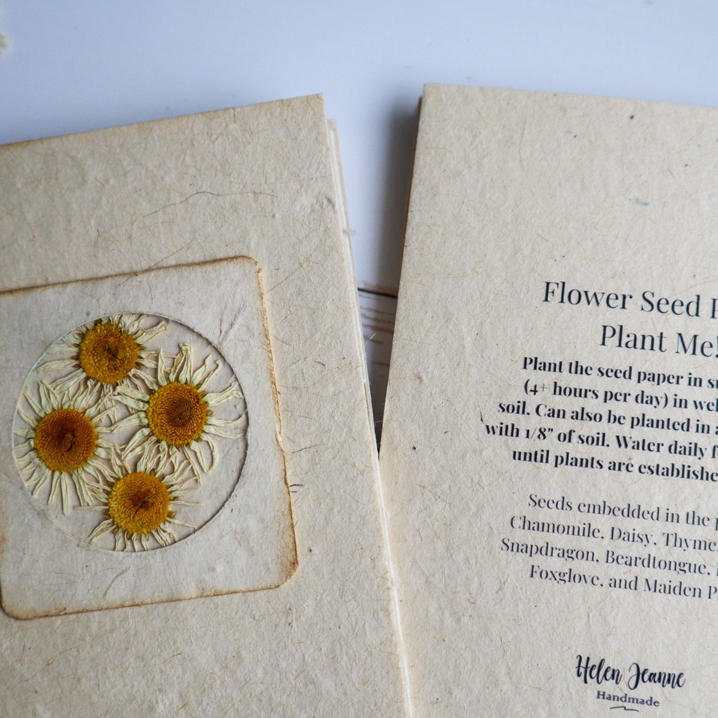 Helen Jeanne Handmade plantable seed paper journal with dried daisy type flowers on the cover and tied with biodegradable hemp cord with planting instructions.