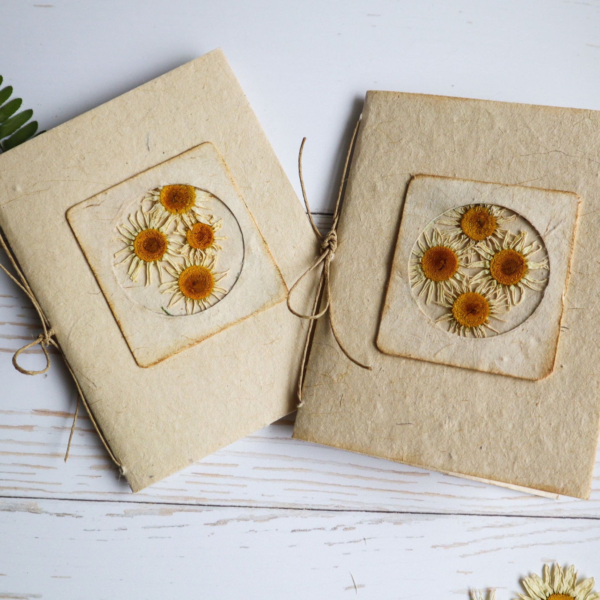 Helen Jeanne Handmade plantable seed paper journal with dried daisy type flowers on the cover and tied with biodegradable hemp cord.
