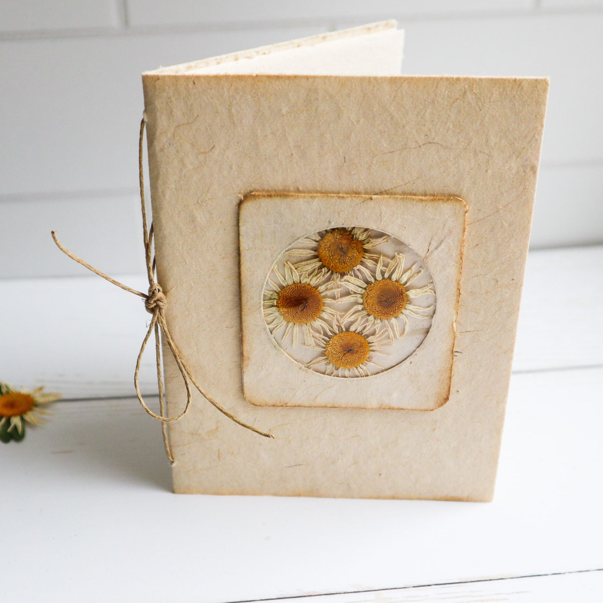 Helen Jeanne Handmade plantable seed paper journal with dried daisy type flowers on the cover and tied with biodegradable hemp cord.