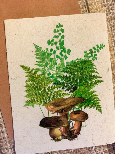 mushroom seed paper card